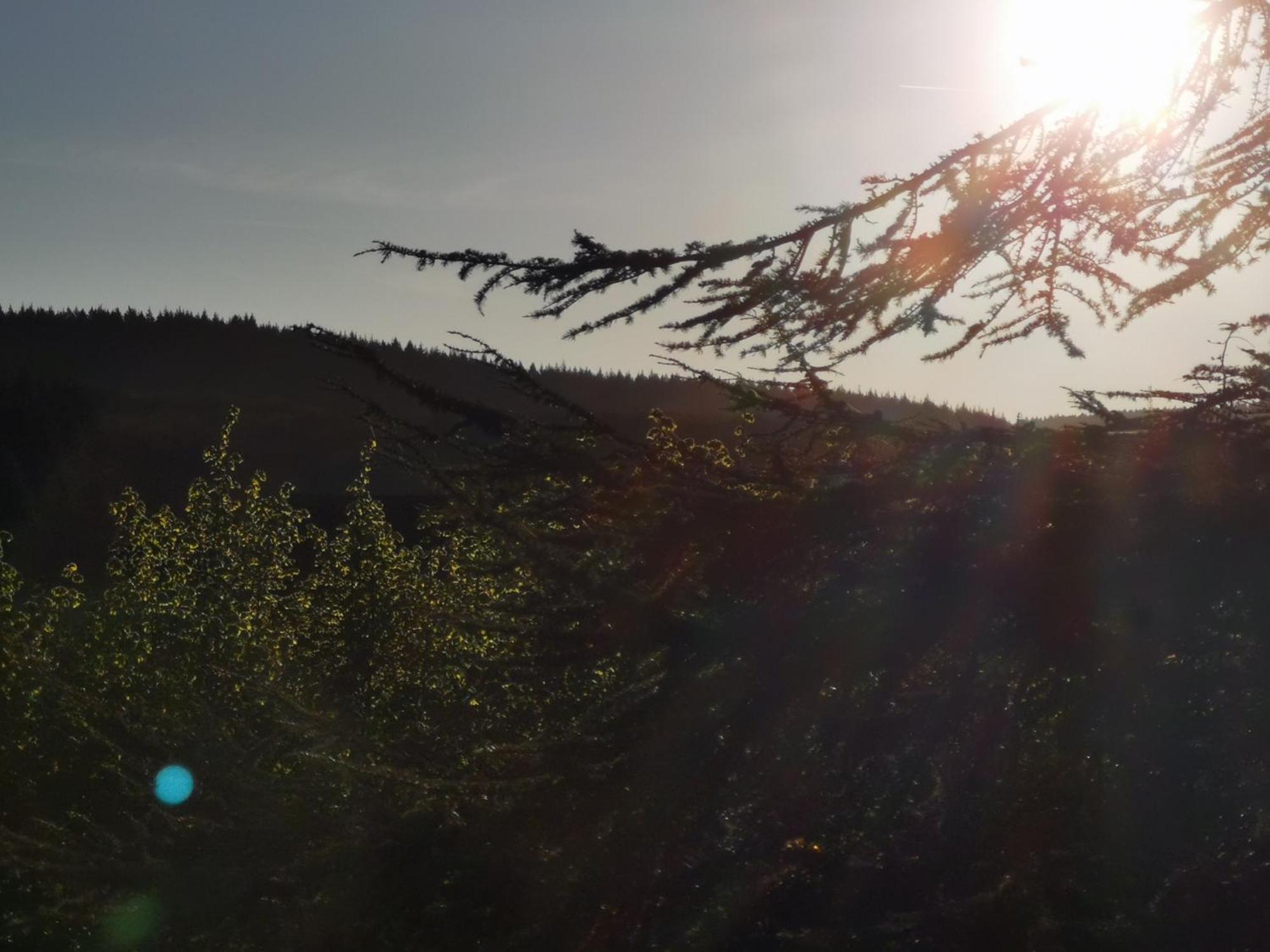 Gite La Bancale Lormes Exteriör bild