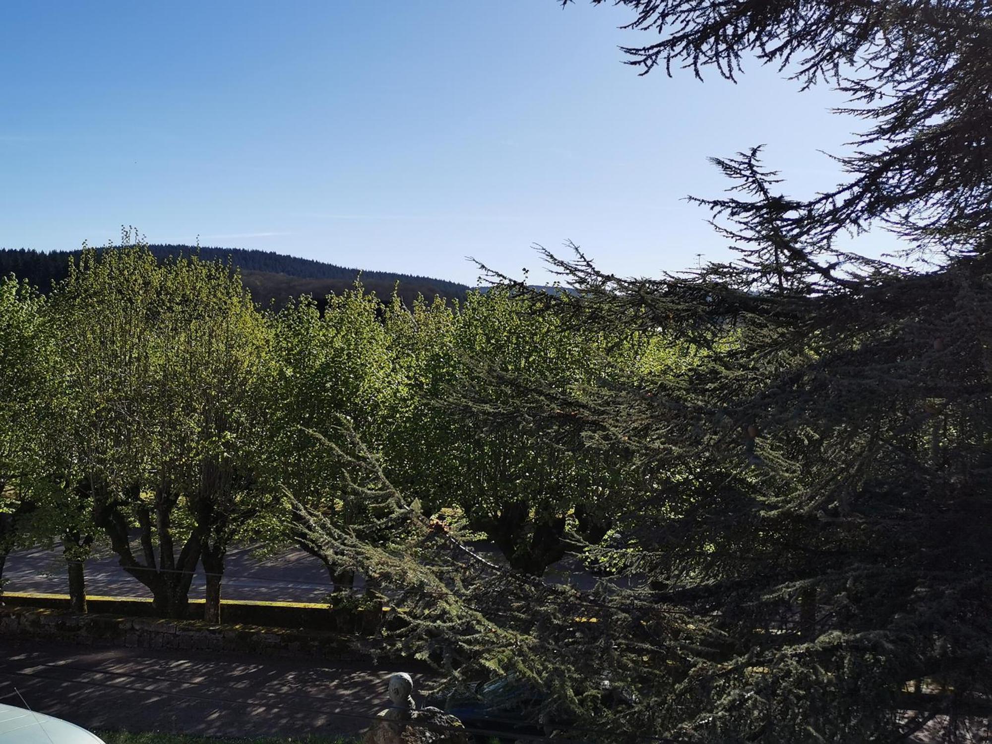 Gite La Bancale Lormes Exteriör bild